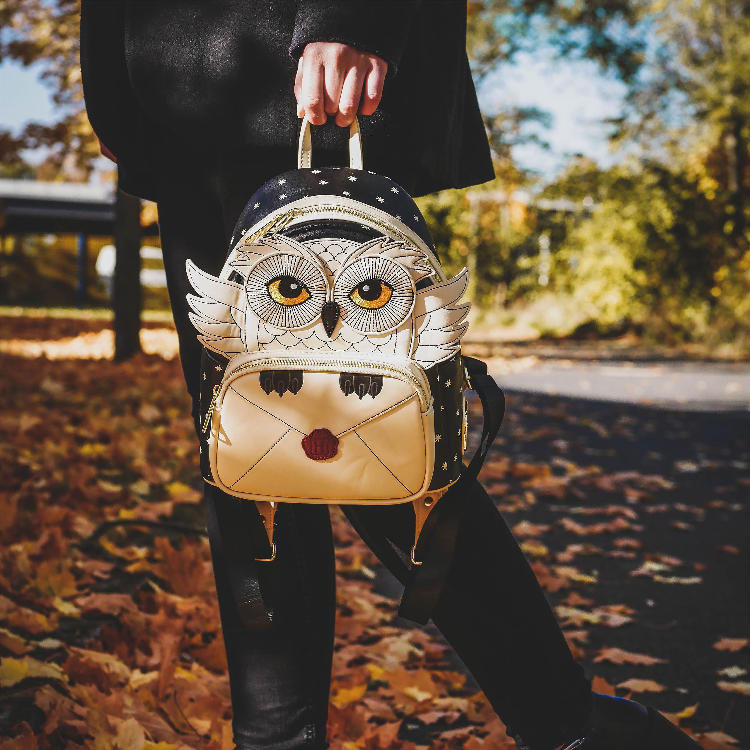 Produktbild Harry Potter - Hedwig mit Hogwarts Brief Mini Rucksack