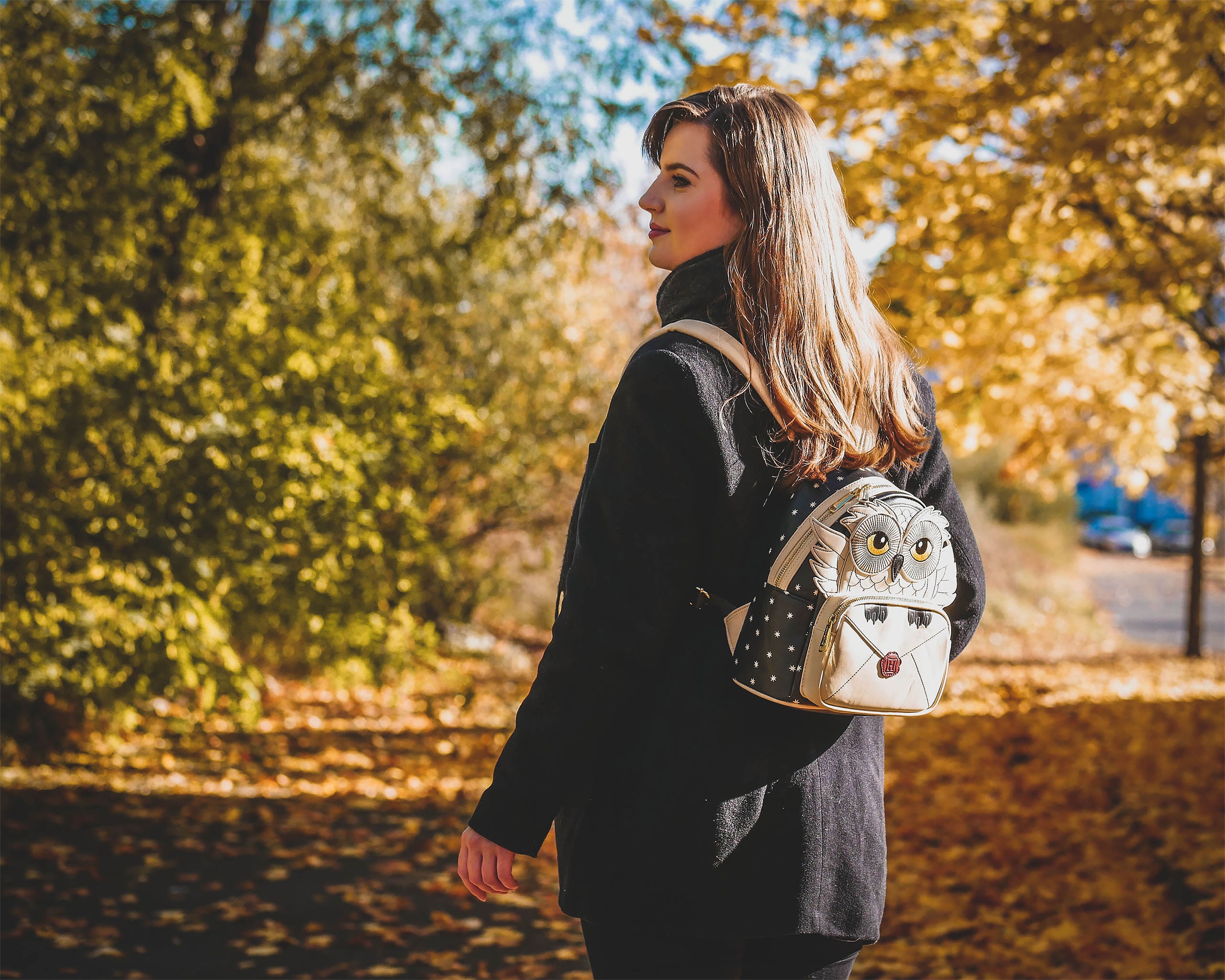 Produktbild Harry Potter - Hedwig mit Hogwarts Brief Mini Rucksack