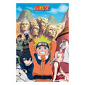 Product image Naruto - Group Maxi Poster