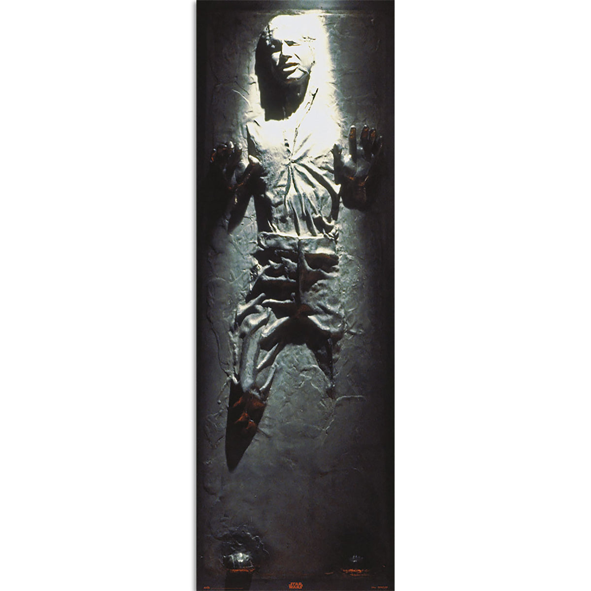 Product image Star Wars - Han Solo in Carbonite Door Poster