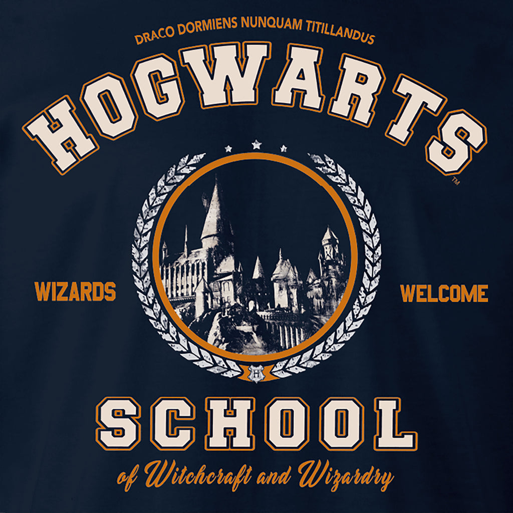 Product image Harry Potter - Hogwarts School Hoodie Blue