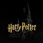 Produktbild Harry Potter - Hogwarts Schloss T-Shirt schwarz