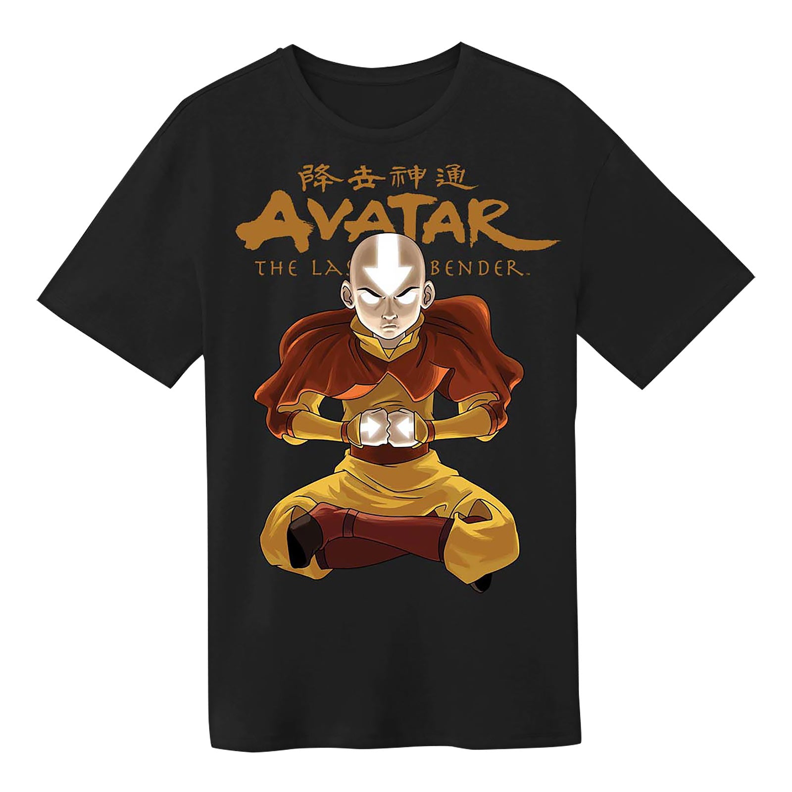 Produktbild Avatar Der Herr der Elemente - Aang State Pose T-Shirt schwarz