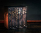 Product image The 5 volumes of the Witcher Saga in a slipcase