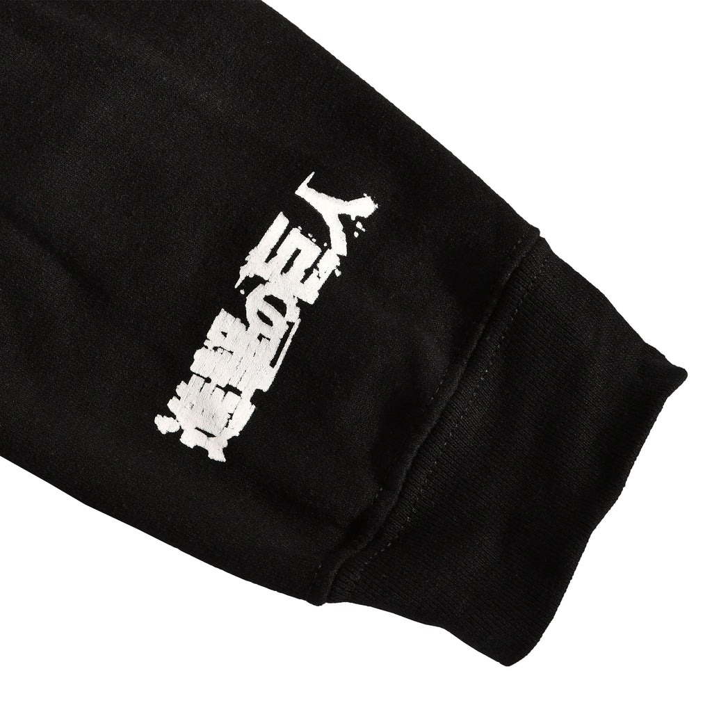 Produktbild Attack on Titan - Survey Corps Hoodie schwarz