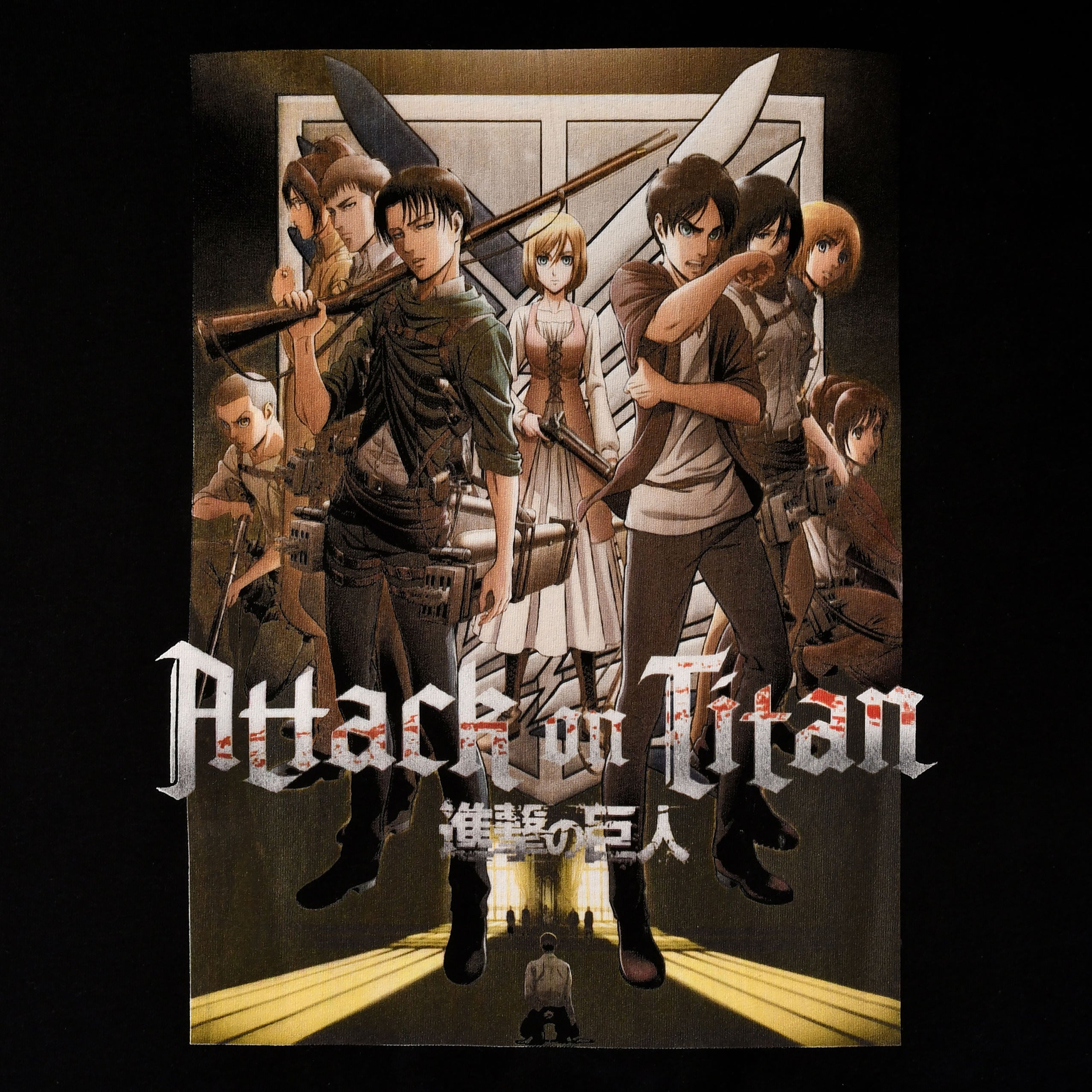 Product image Attack on Titan - Group T-Shirt black
