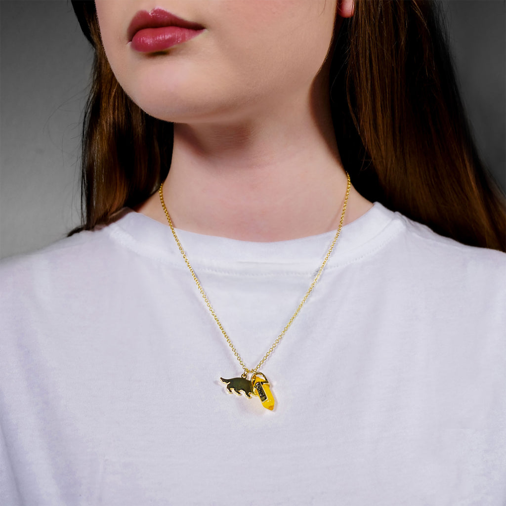 Produktbild Harry Potter - Hufflepuff Wappen Kette