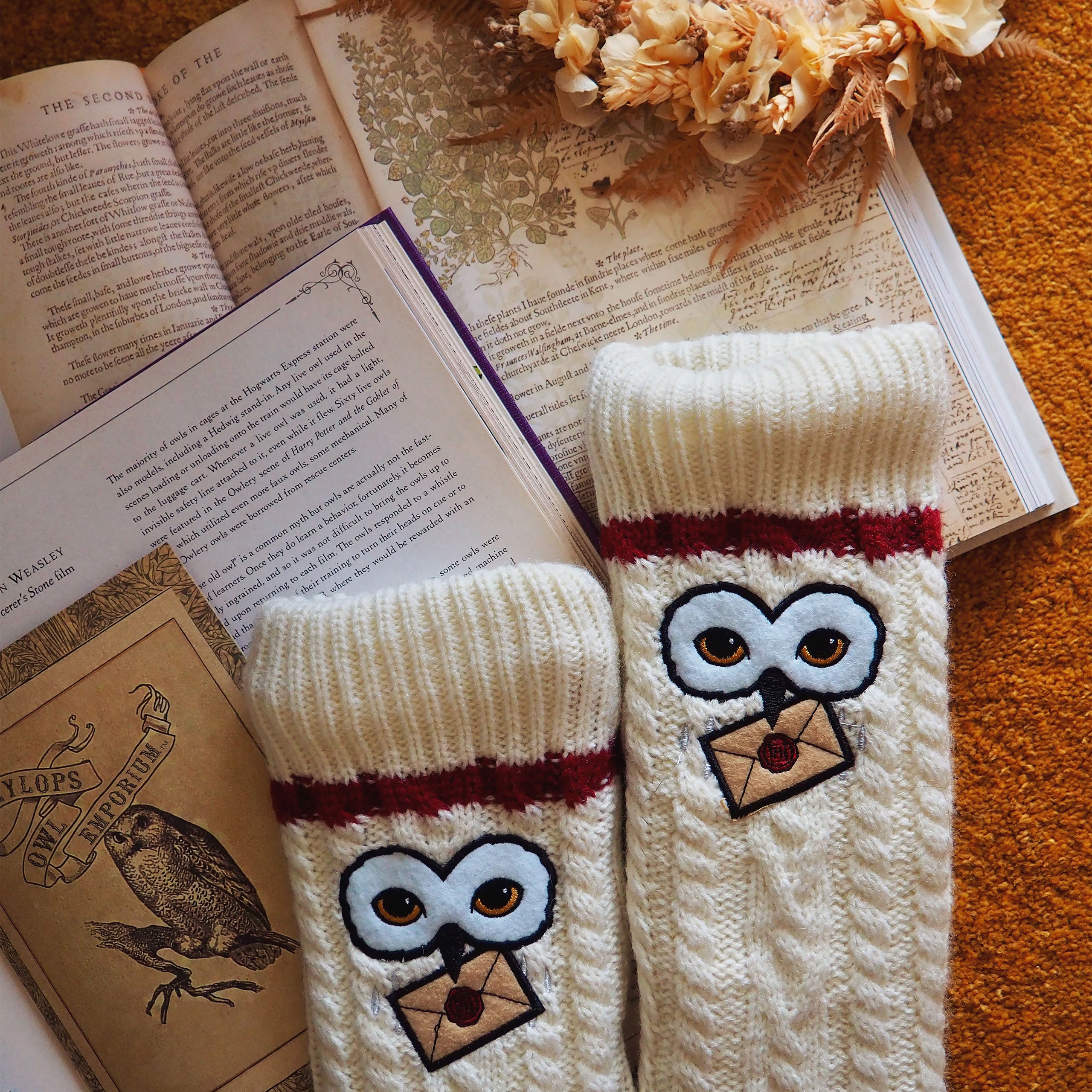 Produktbild Harry Potter - Hedwig Strümpfe mit Teddyfell