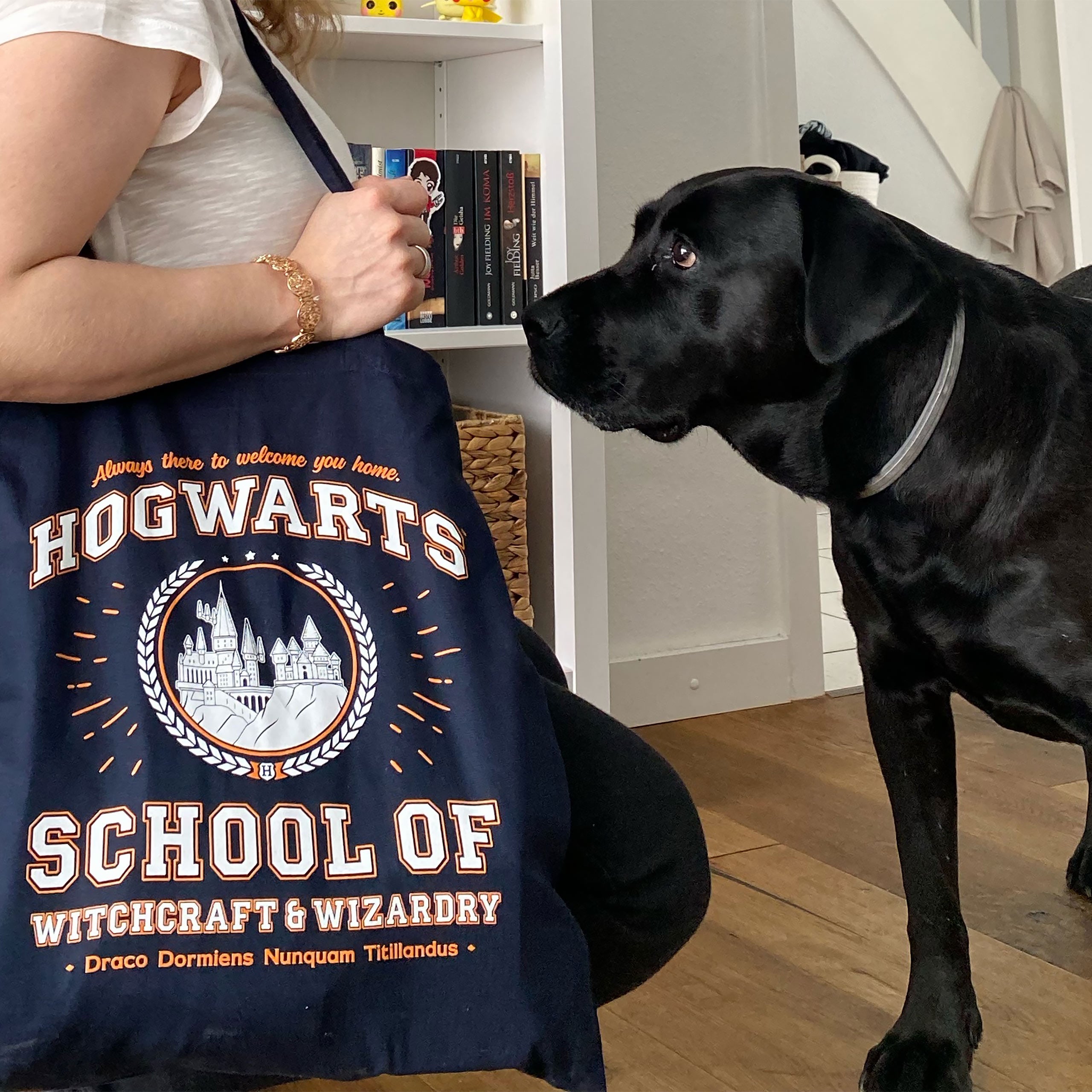 Produktbild Hogwarts School Jutebeutel blau - Harry Potter