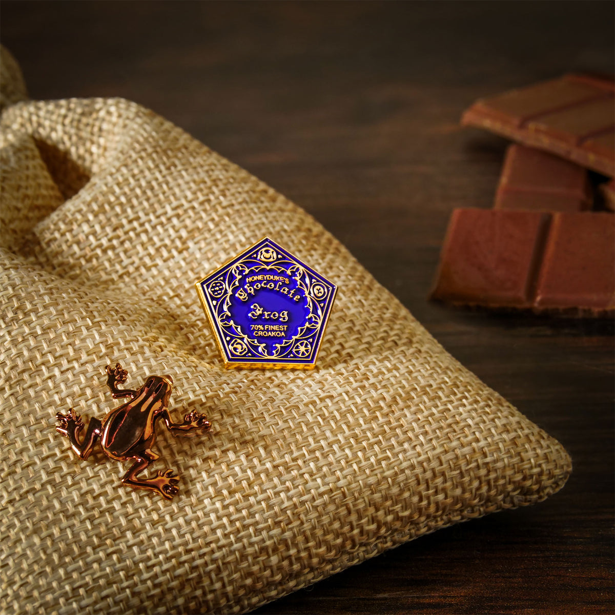 Produktbild Harry Potter - Schokofrosch Pin 2er Set