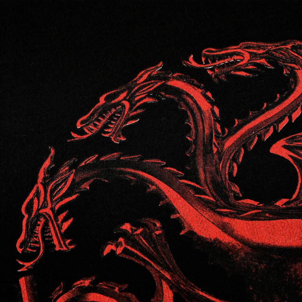 Produktbild House of the Dragon - Logo T-Shirt schwarz