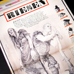 Produktbild Harry Potter und der Orden des Phönix - Illustrierte Schmuckausgabe