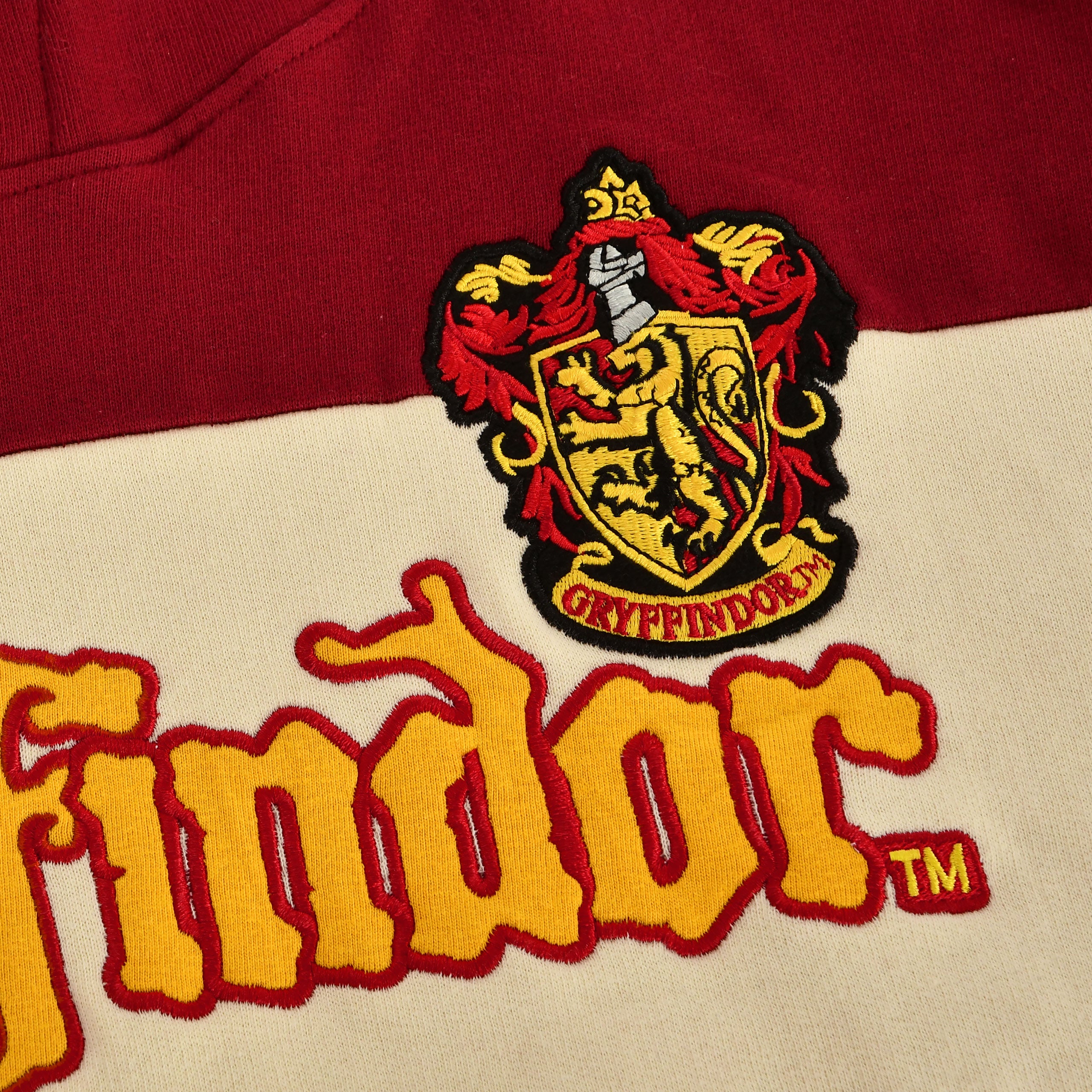 Produktbild Harry Potter - Team Gryffindor Block Hoodie