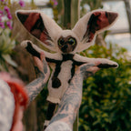 Produktbild Avatar The Last Airbender - Momo Plüsch Figur