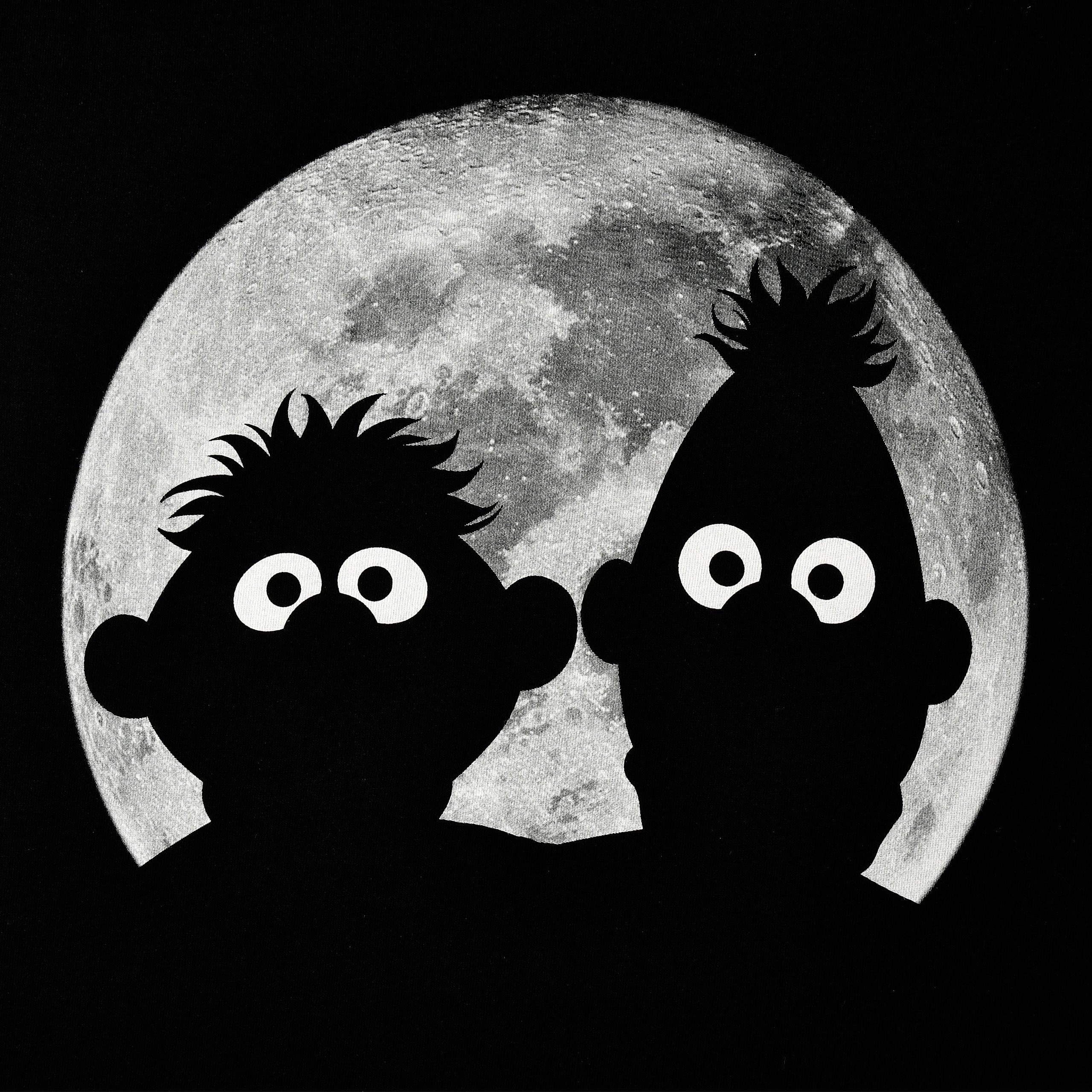 Produktbild Sesamstraße - Ernie & Bert Moonnight T-Shirt schwarz