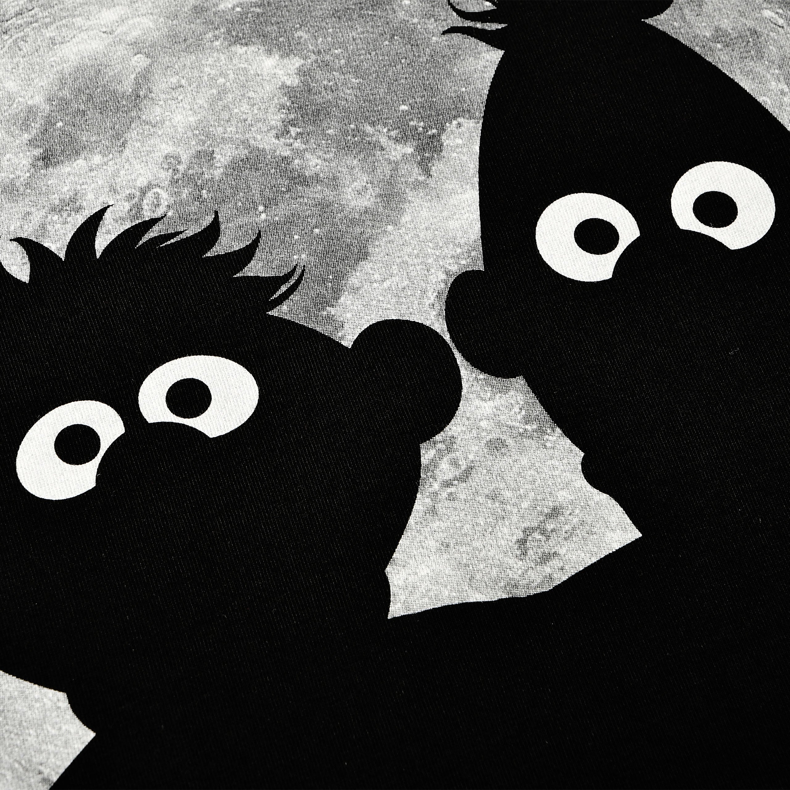 Produktbild Sesamstraße - Ernie & Bert Moonnight T-Shirt schwarz