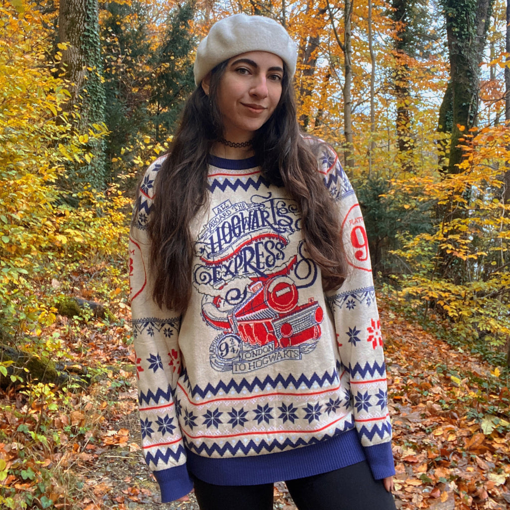 Produktbild Harry Potter - Hogwarts Express Strickpullover