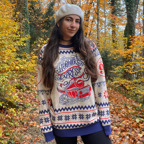 Produktbild Harry Potter - Hogwarts Express Strickpullover