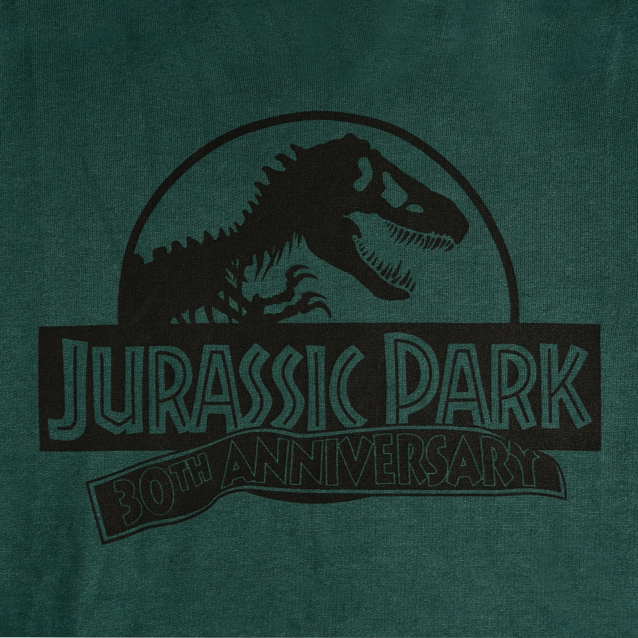 Produktbild Jurassic Park - Isla Nublar Hoodie grün