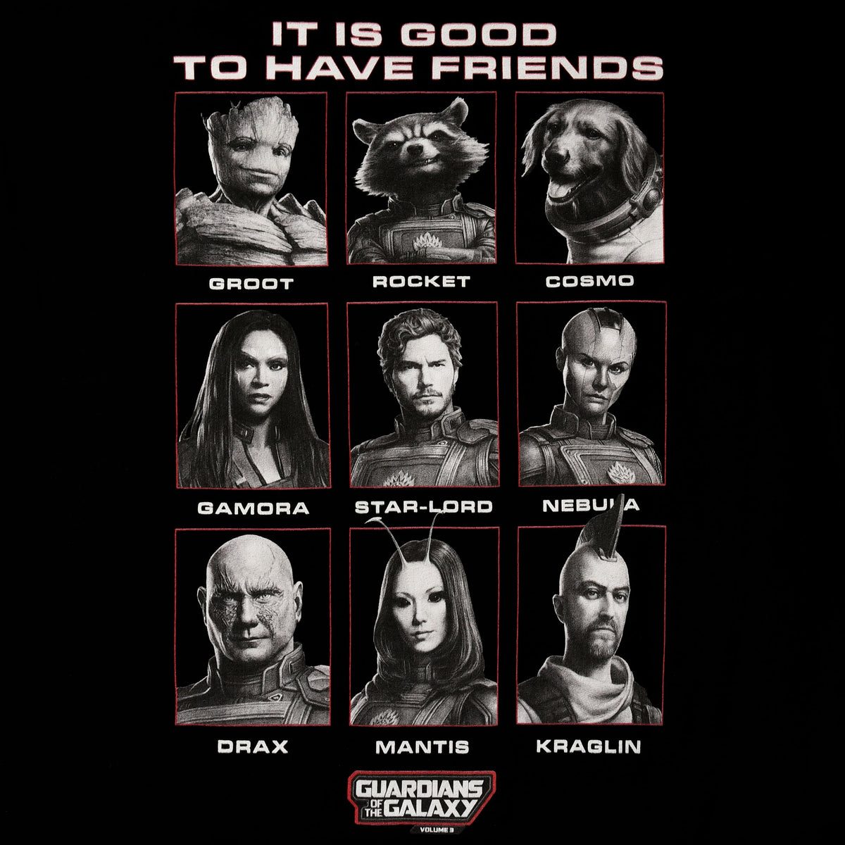 Produktbild Guardians of the Galaxy - Good Friends T-Shirt schwarz