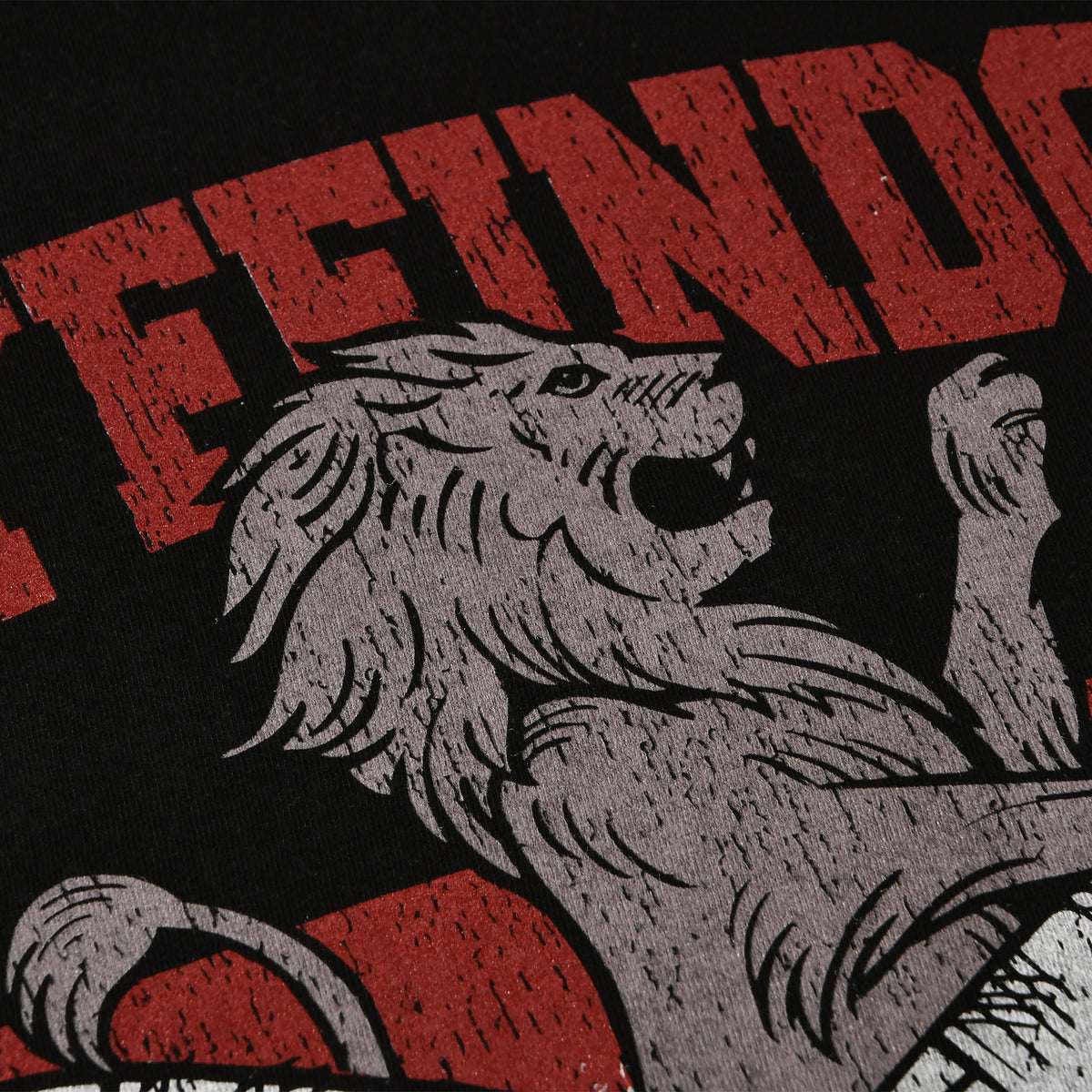 Produktbild Gryffindor Quidditch College T-Shirt schwarz - Harry Potter