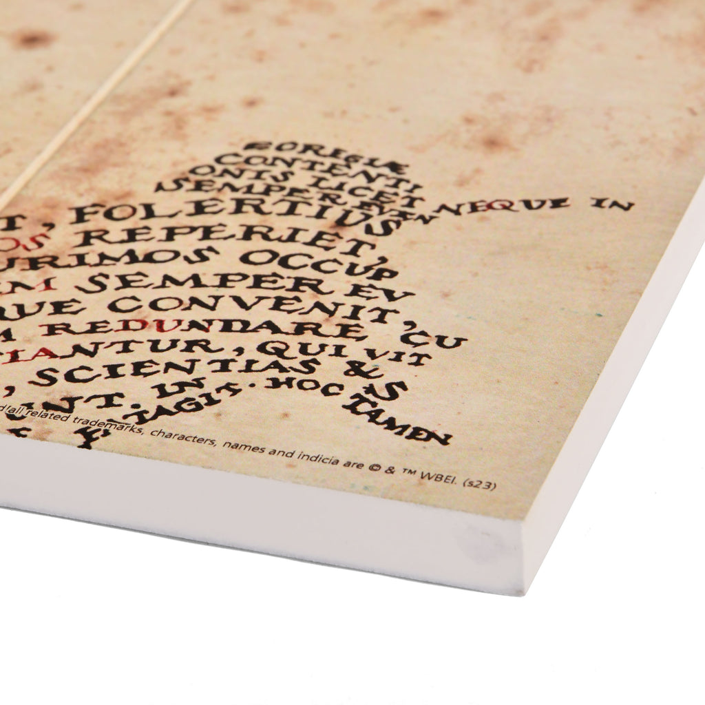 Produktbild Harry Potter - Karte des Rumtreibers Wandbild Holz