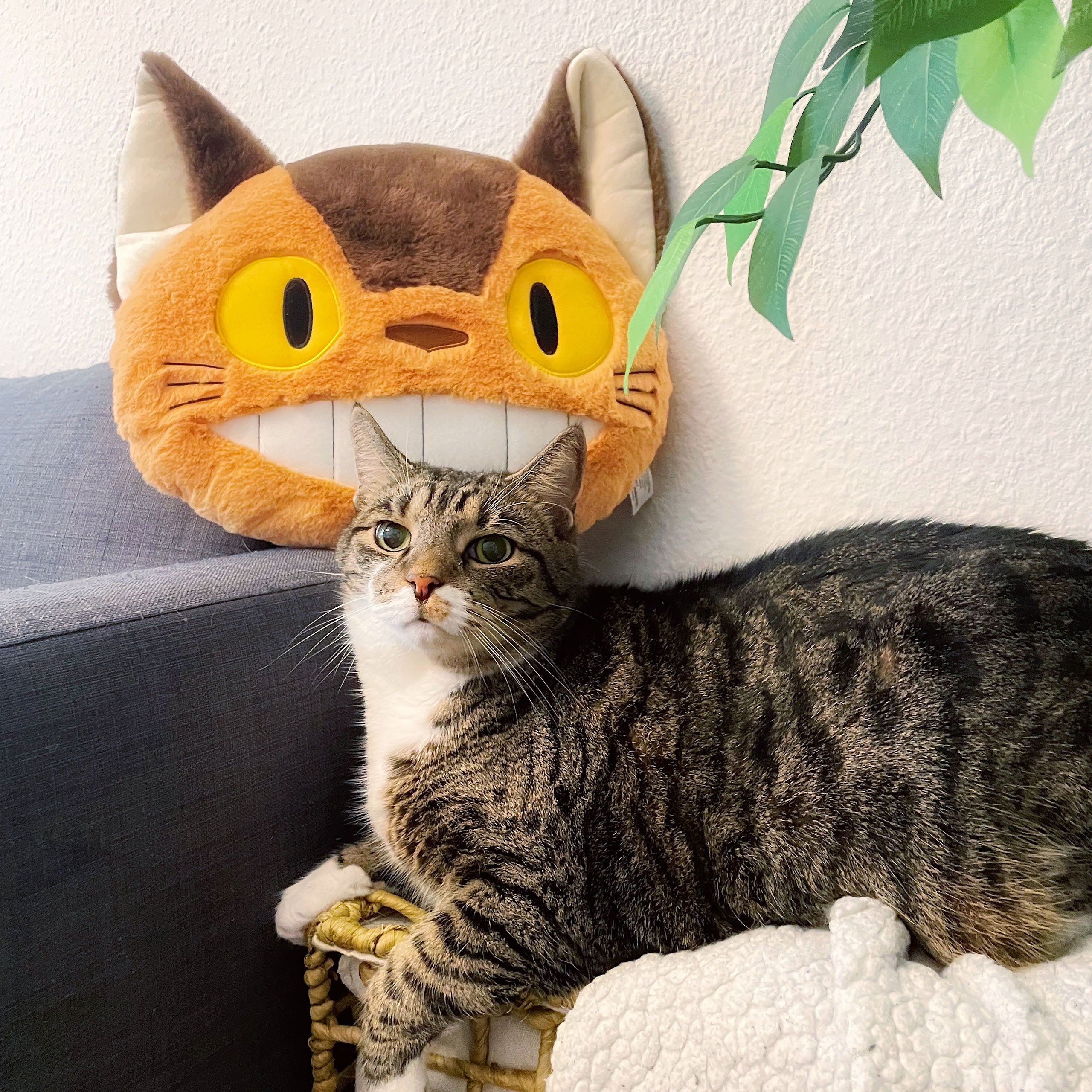 Produktbild Totoro - Katzenbus Nakayoshi Plüsch Kissen