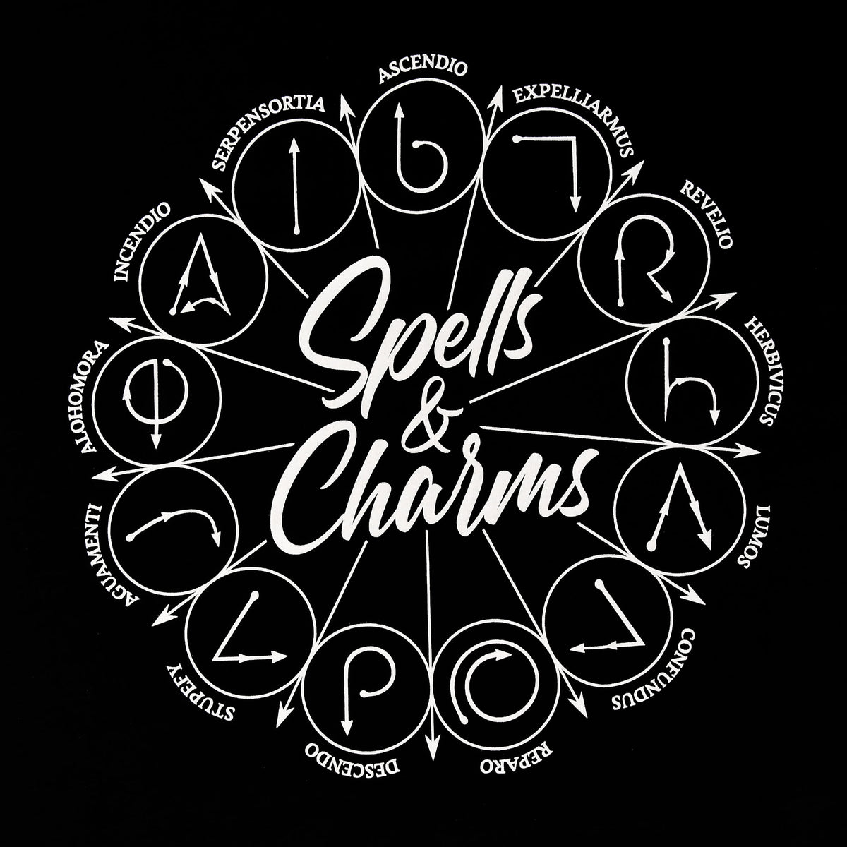 Produktbild Harry Potter - Spells And Charms T-Shirt schwarz