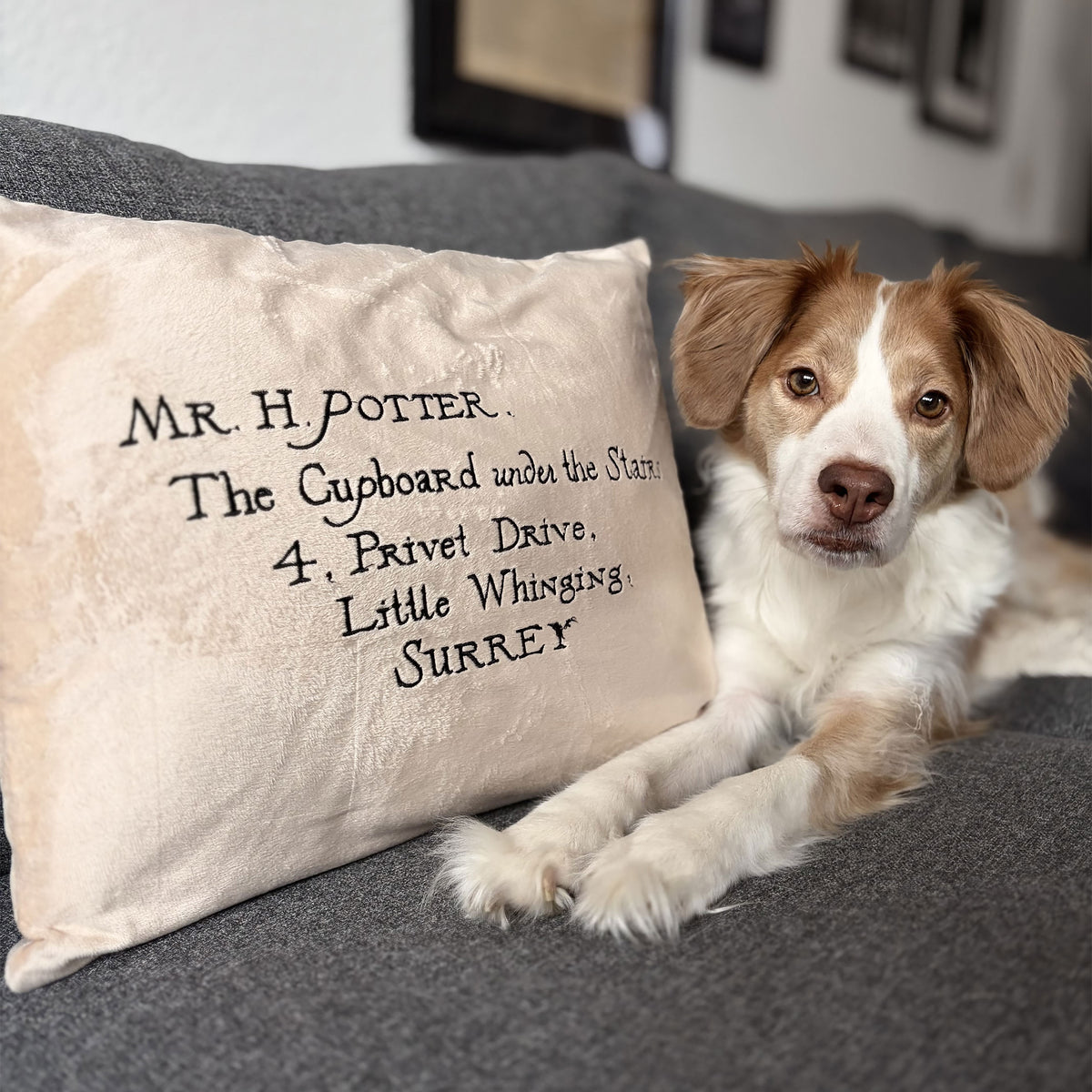 Produktbild Harry Potter - Hogwarts Brief Kissen