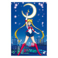 Produktbild Sailor Moon - Characters Maxi Poster