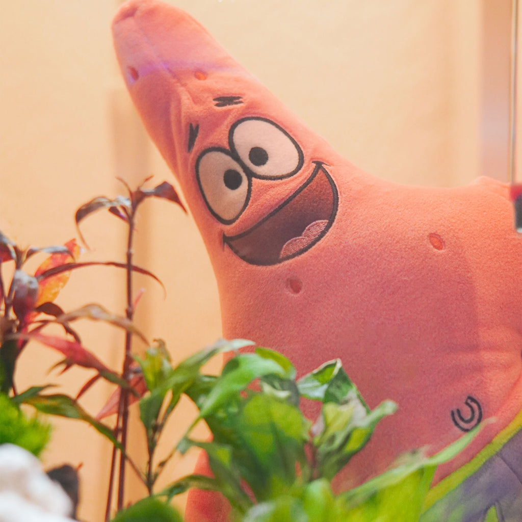 Product image SpongeBob - Patrick Plush Figure