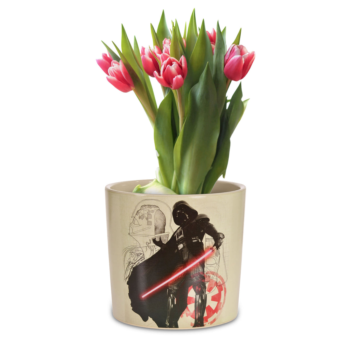Product image Star Wars - Darth Vader Flower Pot