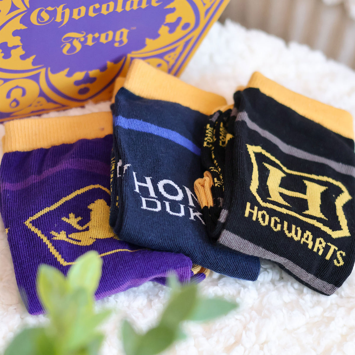 Produktbild Harry Potter - Socken 3er Set in Schokofrosch Box