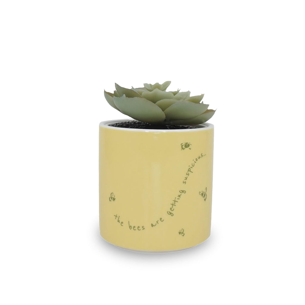 Produktbild Winnie Puuh - Mini Blumentopf