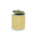 Produktbild Winnie Puuh - Mini Blumentopf