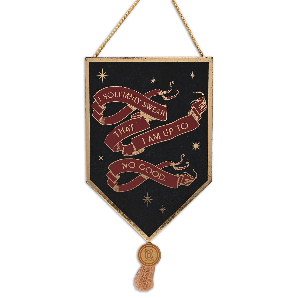 Produktbild Harry Potter - I Solemnly Swear Alumni Wandbild Holz
