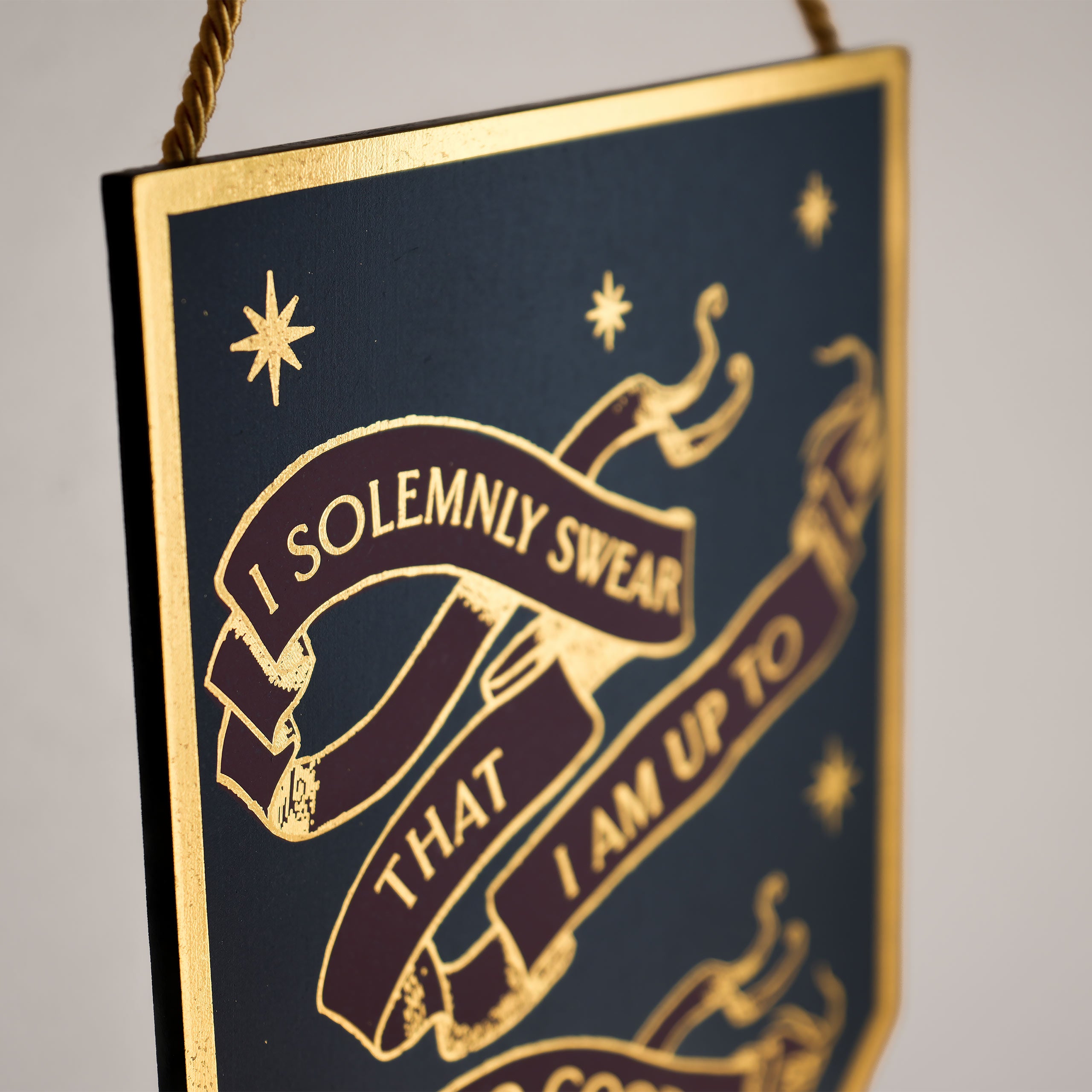 Produktbild Harry Potter - I Solemnly Swear Alumni Wandbild Holz