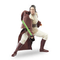 Produktbild Star Wars: The Acolyte - Jedi Master Indara Black Series Actionfigur