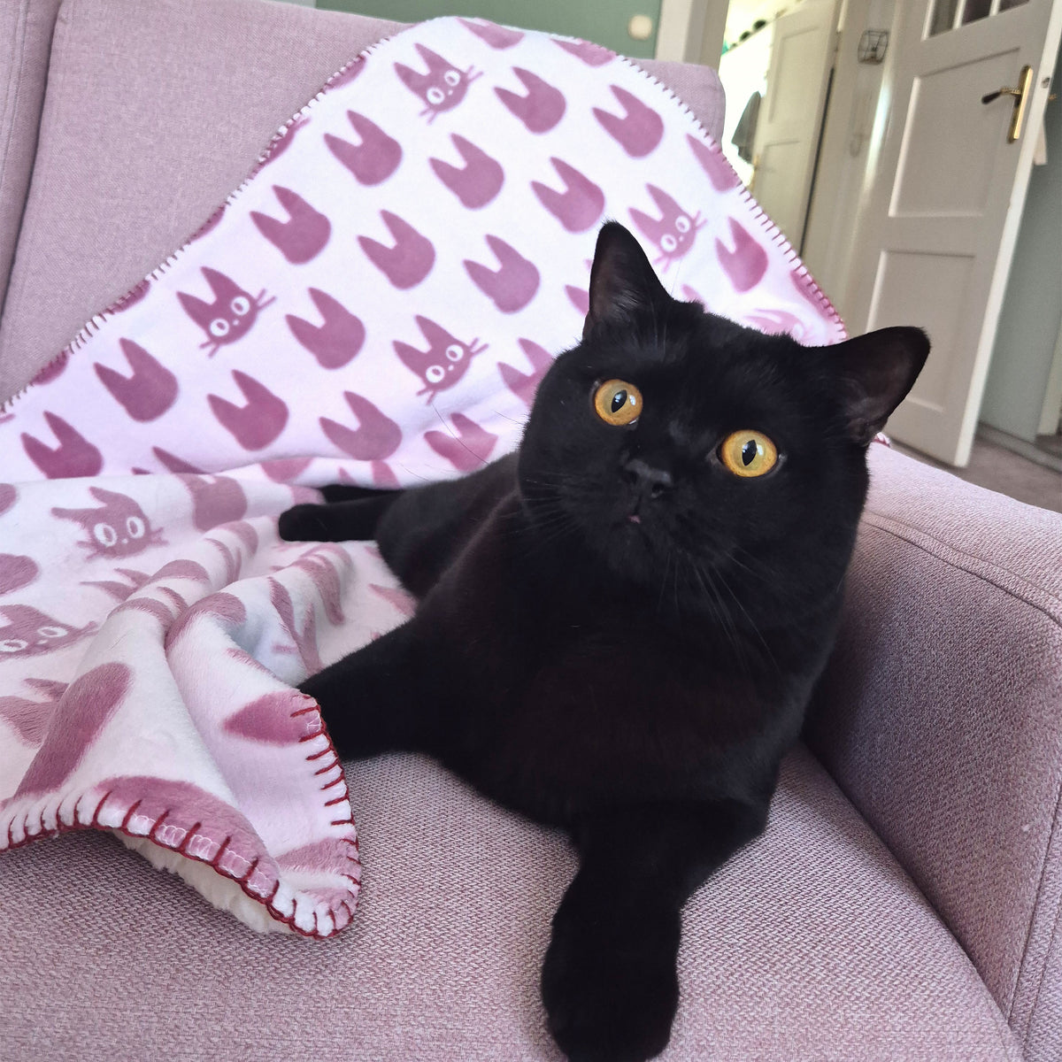 Produktbild Kikis kleiner Lieferservice - Jiji Silhouette Flauschdecke mit Teddyfell