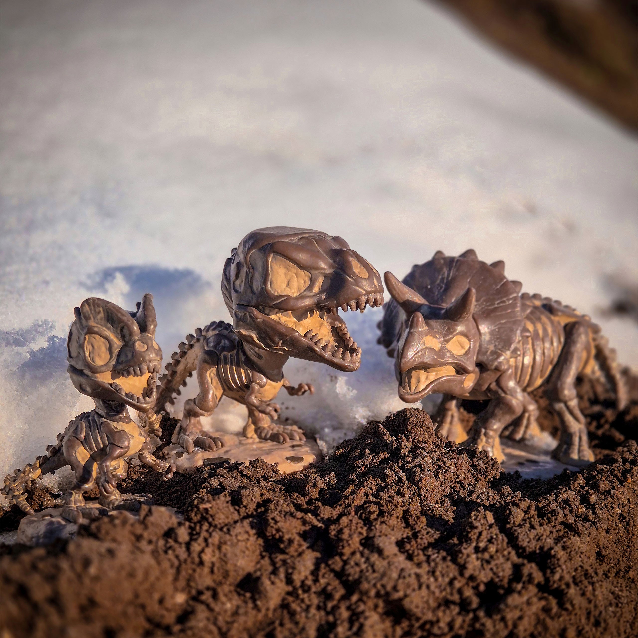 Produktbild Jurassic World - Fossil Triceratops Funko Pop Figur