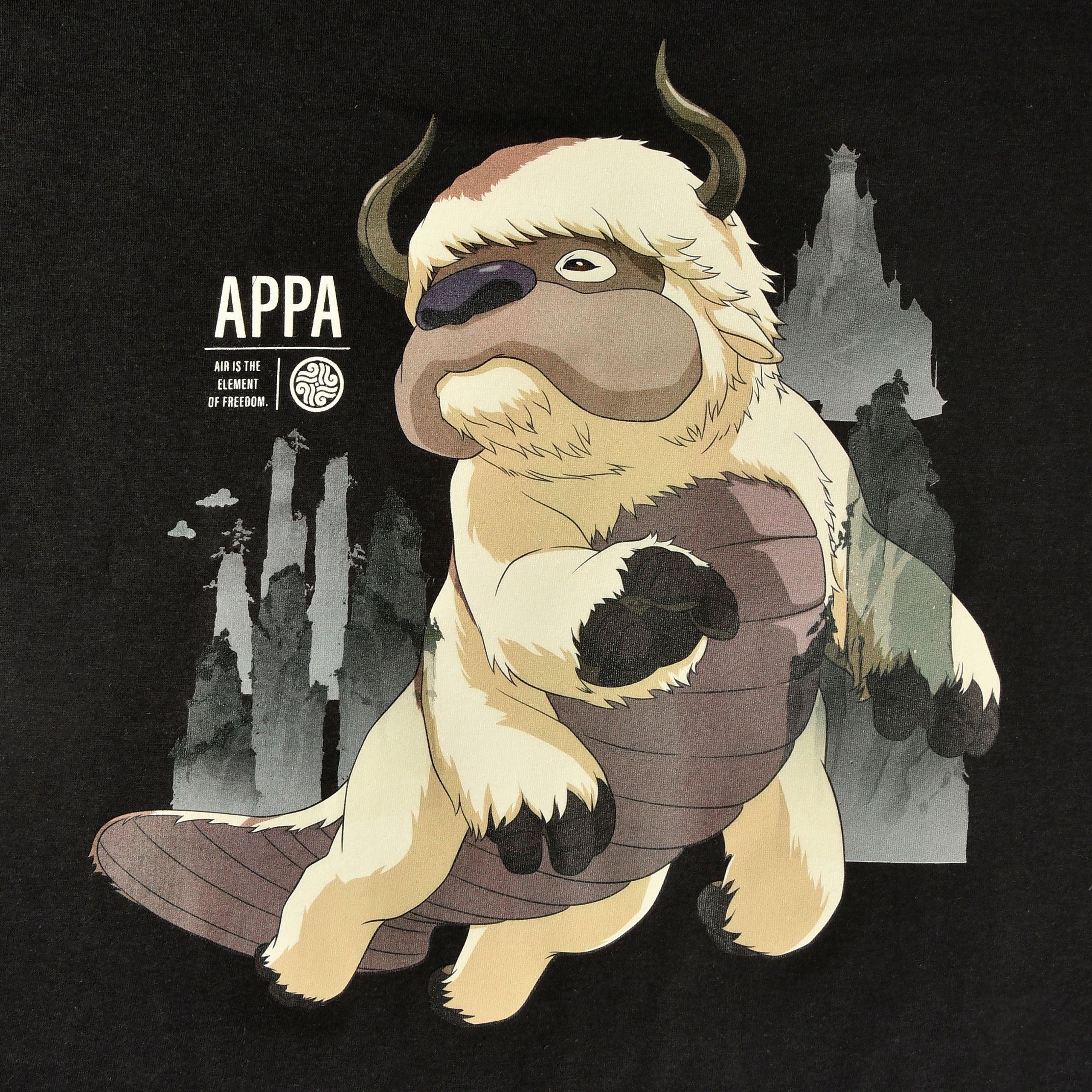 Produktbild Avatar The Last Airbender - Flying Appa T-Shirt schwarz
