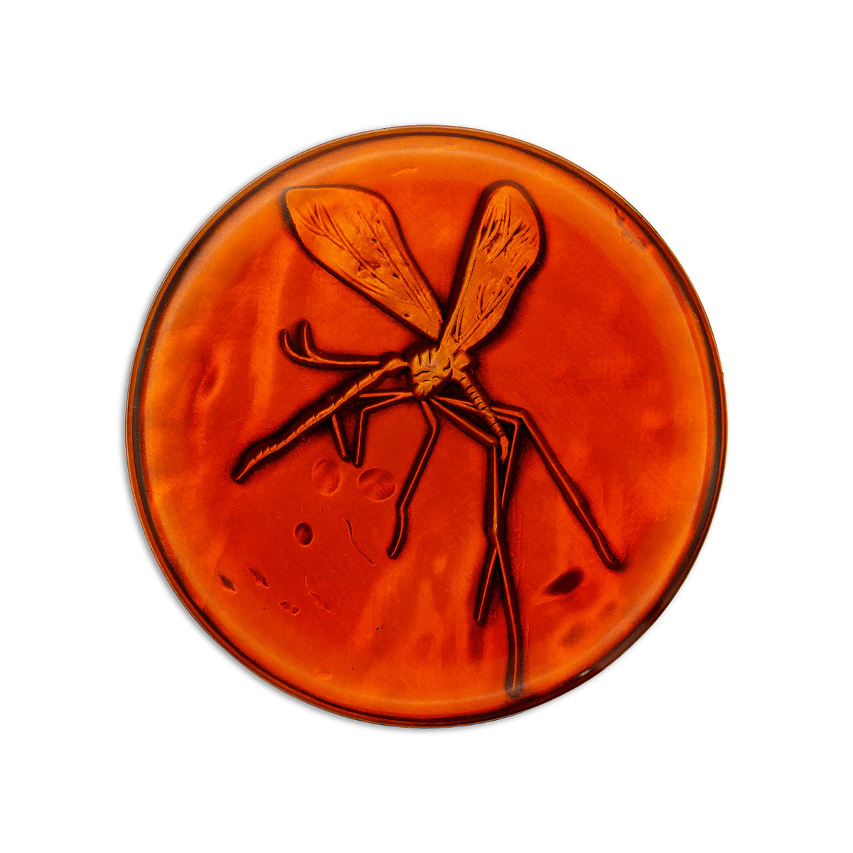 Produktbild Jurassic Park - Medaillon und Pin Geschenkbox limitiert