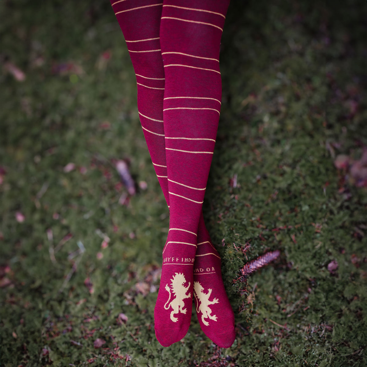 Produktbild Harry Potter - Gryffindor Overknee Strümpfe 2er Set