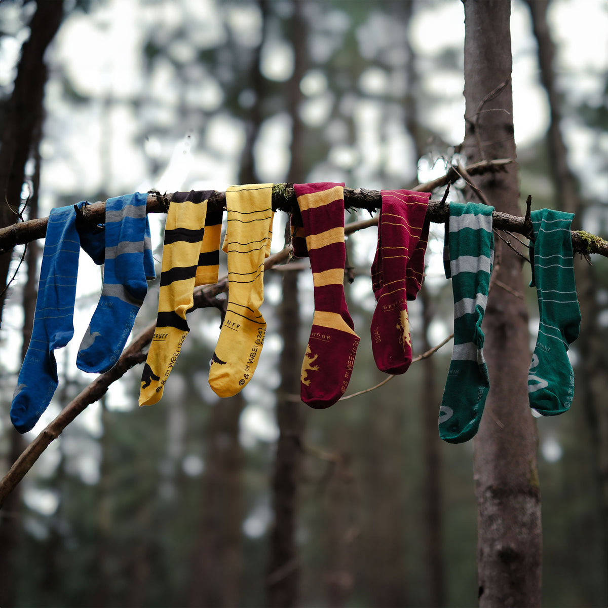 Product image Harry Potter - Slytherin Overknee Socks 2-Pack