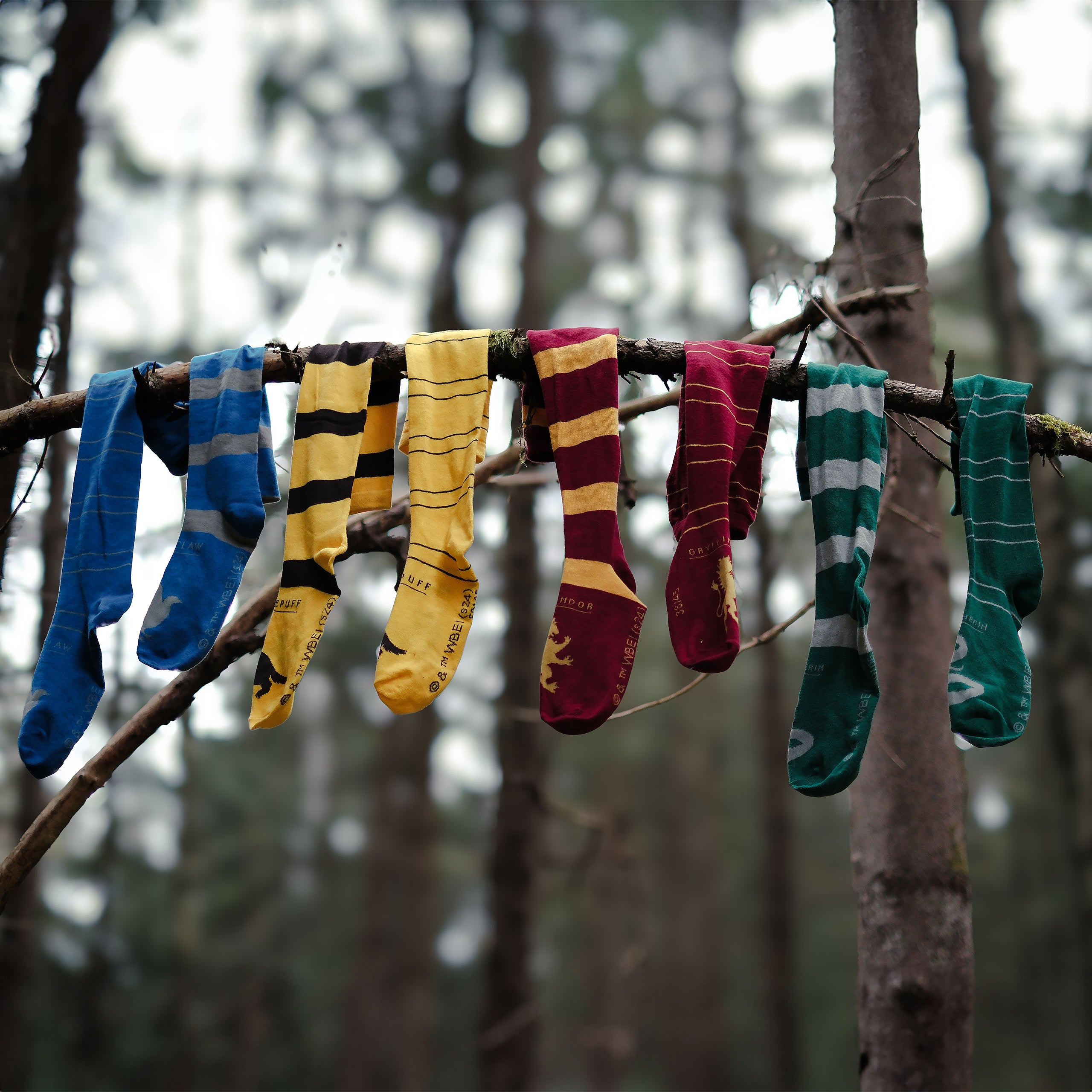 Produktbild Harry Potter - Ravenclaw Overknee Strümpfe 2er Set