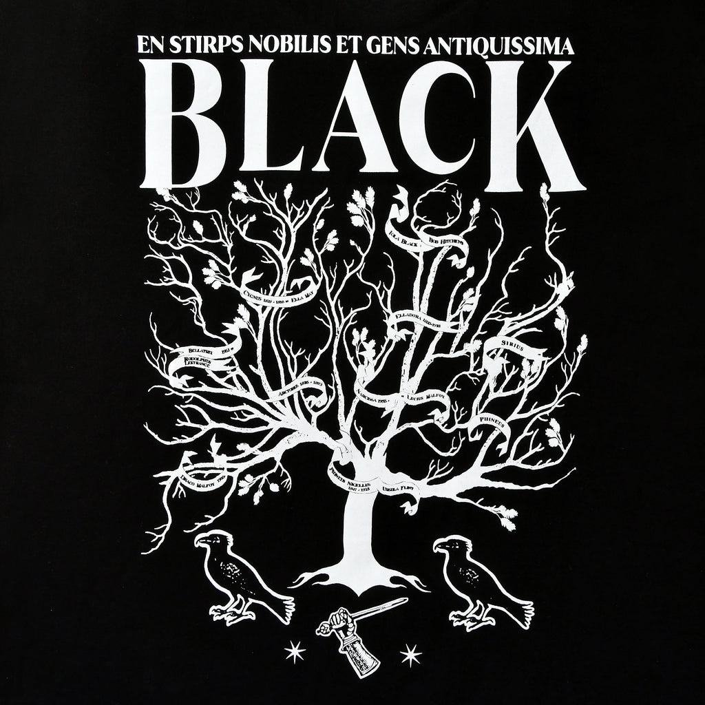 Produktbild Harry Potter - House of Black T-Shirt schwarz