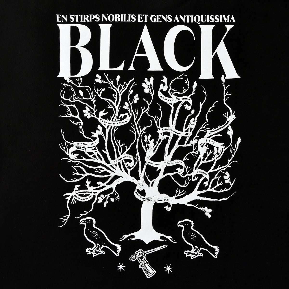Produktbild Harry Potter - House of Black T-Shirt schwarz