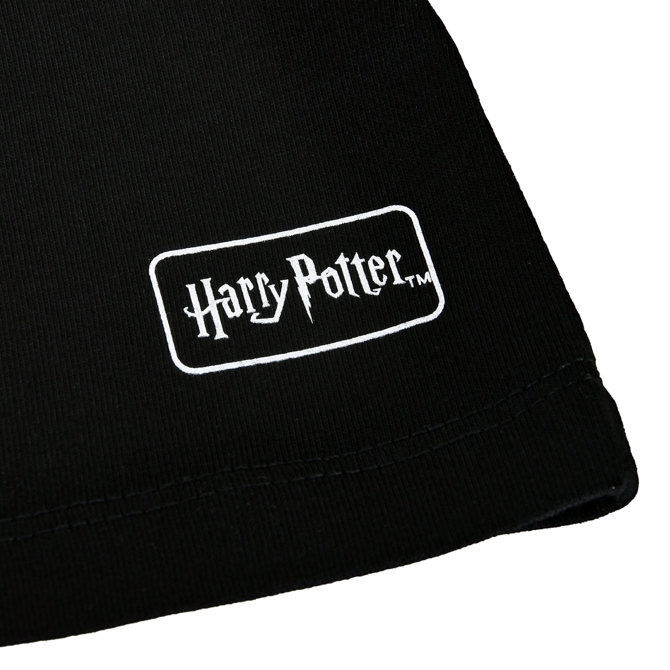 Produktbild Harry Potter - House of Black T-Shirt schwarz