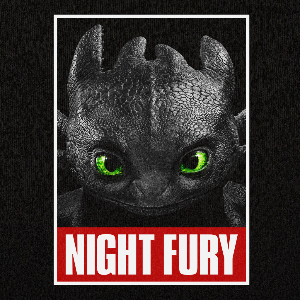 Produktbild Drachenzähmen leicht gemacht - Night Fury Poster T-Shirt schwarz