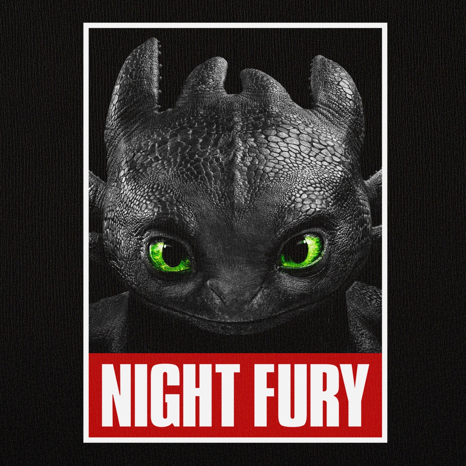 Produktbild Drachenzähmen leicht gemacht - Night Fury Poster T-Shirt schwarz